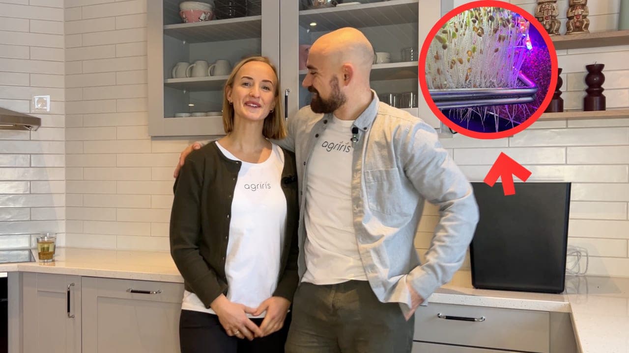 Hvorfor de fleste slutter å spire